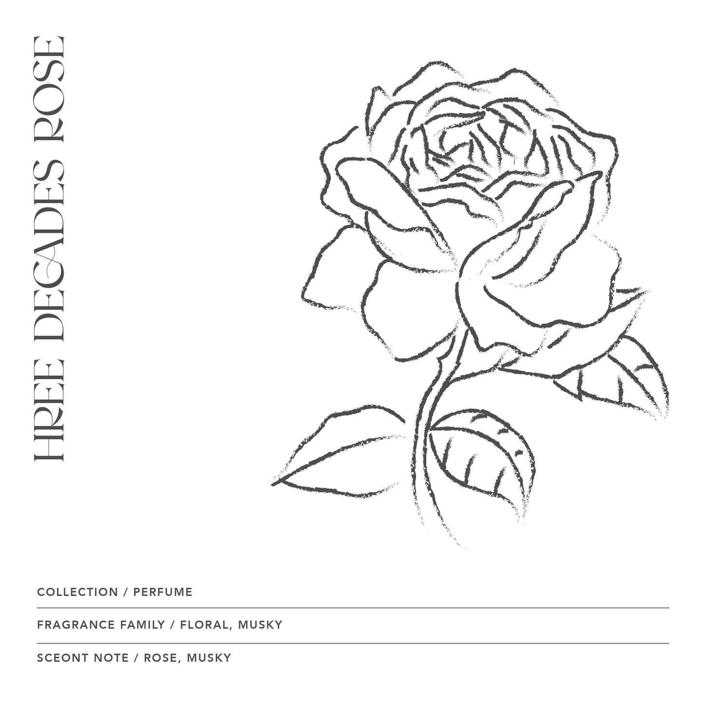 Three Decades Rose